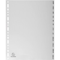 Exacompta - Ref. 2812E - Intercalaires gris en polypropylene recycle avec 12 onglets imprimes mensuel de Janvier a  Decembre - F