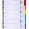 Lot de 20 : Exacompta - Ref. 4306E - Intercalaires en carte blanche 160g/m2 FSC® avec 6 onglets neutres en couleurs - renforces 