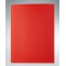 Exacompta - Ref. 8555E - 1 porte vues OPAK en polypropylene souple mat et opaque avec pochettes interieures legerement grainees 
