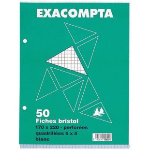 EXACOMPTA 10620E Paquet 50 fiches sous film - bristol quadrille 5x5 perfore 170x220mm Blanc
