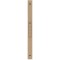 Exacompta - ref. 51847E - 1 Classeur carte Eterneco - 4 anneaux ronds diametre 15 mm - Dos 20 mm - Dimensions exteri