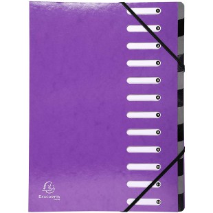 Exacompta 53926E Trieur dos extensible couverture rigide 12 compartiments 24,5 x 32 Violet