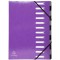 Exacompta 53926E Trieur dos extensible couverture rigide 12 compartiments 24,5 x 32 Violet