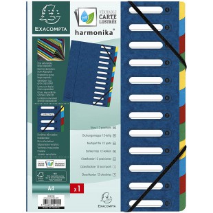 Exacompta 55122E Trieur Harmonika avec dos extensible, couverture avec fenetres decoupees 12 Compartiments 24,5x32 cm pour forma