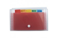 Exacompta - Ref. 55498E - 1 Trieur pocket 6 compartiments en polypropylene Crystal - 11x18cm - Cristal