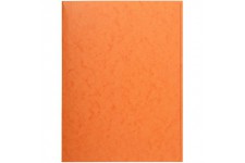 Exacompta - Ref. 56409E - 1 chemise simple sans elastique avec 3 rabats en carte lustree 390 g/m² - chemise certifiee FSC - dime