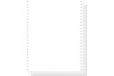 Exacompta 62423E 1000 Feuilles de Listing Autocopiantes Blanc 240 X 12 Bandes Caroll Detachables