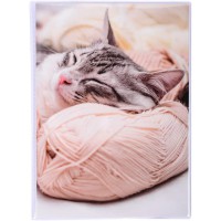 Lot de 12 : Exacompta - Ref. 65001E - Album photos mini a pochettes souples 24 photos 10X15 cm - 24 pages - format vertical 12X1
