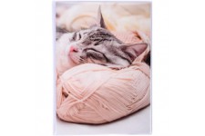 Lot de 12 : Exacompta - Ref. 65001E - Album photos mini a pochettes souples 24 photos 10X15 cm - 24 pages - format vertical 12X1