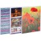 Lot de 12 : Exacompta - Ref. 65003E - 1 Album photos medium a pochettes souples 64 photos 10x15 cm - 32 pages - format vertical 