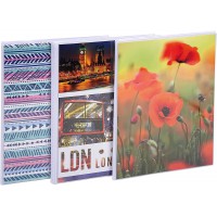 Lot de 12 : Exacompta - Ref. 65003E - 1 Album photos medium a pochettes souples 64 photos 10x15 cm - 32 pages - format vertical 