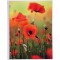 Lot de 12 : Exacompta - Ref. 65003E - 1 Album photos medium a pochettes souples 64 photos 10x15 cm - 32 pages - format vertical 