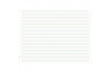 EXACOMPTA 66311E "2000 feuilles de listing zone vert 380x11"" 1pli Bandes Caroll Non Detachables 70g"