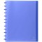 Exacompta - Ref. 86352E - Protege-Documents a  Anneaux et Pochettes Detachables 60 Vues / 30 Pochettes - A4 - Bleu Translucide