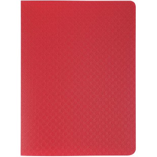 Lot de 20 : Exacompta 88209E Porte vues Opak en polypropylene mat avec pochettes interieures lisse haute transparence 20 pochett