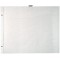 Exacompta - Ref. 16812E - 1 Sachet de 10 Recharges pour album a  vis pages blanches au format 37x29 cm - avec vis d'extensions e