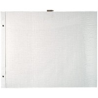 Exacompta - Ref. 16812E - 1 Sachet de 10 Recharges pour album a  vis pages blanches au format 37x29 cm - avec vis d'extensions e