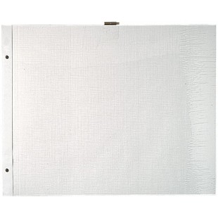 Exacompta - Ref. 16812E - 1 Sachet de 10 Recharges pour album a  vis pages blanches au format 37x29 cm - avec vis d'extensions e