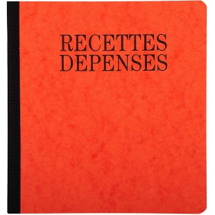 Exacompta - Ref. 930E - 1 Piqure recettes-depenses - Numerotee - Format vertical - Dimensions exterieures : 21 x 19 cm - 80 page