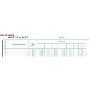 Exacompta 6500E Journal de Caisse ou de Banque pique Vertical 32 x 25 cm foliote 80 pages 33 lignes papier 110 g/m², 2 libelle, 