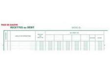 Exacompta 6500E Journal de Caisse ou de Banque pique Vertical 32 x 25 cm foliote 80 pages 33 lignes papier 110 g/m², 2 libelle, 