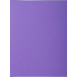 Lot de 50 : Exacompta - Ref. 218008E - chemises rigides avec 1 rabat ROCK''S 210 g/m² - couleurs vives - chemises certifiees PE