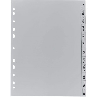Exacompta - Ref 1812B - Intercalaires en polypropylene gris - 12 touches imprimees janvier a  decembre en allemand - adapte pour