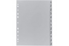 Exacompta - Ref 1812B - Intercalaires en polypropylene gris - 12 touches imprimees janvier a  decembre en allemand - adapte pour