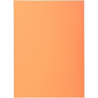 Exacompta - Ref. 850102E - Paquet de 100 sous-chemises SUPER 60 g/m2 aux couleurs pastel - sous chemises certifiees PEFC - dimen