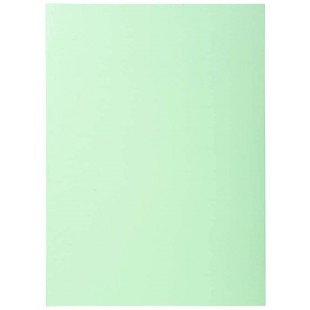 Exacompta - Ref. 850104E - Paquet de 100 sous-chemises SUPER 60 g/m2 aux couleurs pastel - sous chemises certifiees PEFC - dimen
