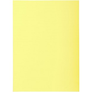 Exacompta - Ref. 850105E - Paquet de 100 sous-chemises SUPER 60 g/m2 aux couleurs pastel - sous chemises certifiees PEFC - dimen