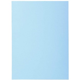 Exacompta - Ref. 850106E - Paquet de 100 sous-chemises SUPER 60 g/m2 aux couleurs pastel - sous chemises certifiees PEFC - dimen