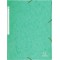 Chemise a elastiques maxi capacity carte lustree 425gm nature future - a4