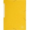 Chemise a elastiques maxi capacity carte lustree 425gm nature future - a4