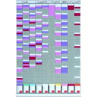 Nobo - Kit Planning Mural a  Fiches T, Polyvalent, 10 Colonnes & 54 Fentes, Indice 2, Fiches T Multicolores & Index Inclus, 2901