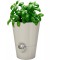 Emsa Pot a  herbe Fresh Herbs Gris soie 28 x 28 x 18 cm 517532