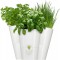 EMSA Pot a  Herbe Fresh Herbs Trio Blanc 28 x 28 x 18 cm 515352