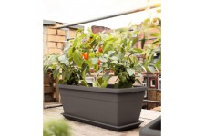 Emsa My City Garden 518571 Jardiniere resistante au Gel et aux UV Granit 80 x 35 x 40 cm