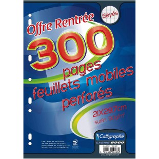 - Cahiers, bloc-notes - Feuillets mobiles 21x29.7cm 300 pages perf. Seyes