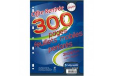- Cahiers, bloc-notes - Feuillets mobiles 21x29.7cm 300 pages perf. Seyes