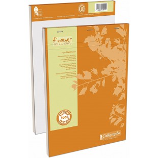 Lot de 5 : 17254C - Un bloc de bureau agrafe en tete Forever 200 pages 21x29,7 cm 70g petits carreaux 100 % recycle, couverture 