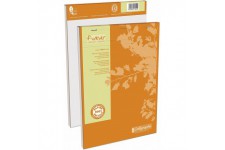 Lot de 5 : 17254C - Un bloc de bureau agrafe en tete Forever 200 pages 21x29,7 cm 70g petits carreaux 100 % recycle, couverture 