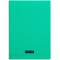 Calligraphe 18135C Un Cahier Agrafe Vert (une Marque de Clairefontaine) - A4 21x29,7 cm - 96 Pages Grands Carreaux - Papier Blan