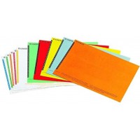 Esselte etiquettes pour Dossier Suspendu Vertical, Lot de 10 planches de 25, Couleurs Assorties, Orgarex, 325800