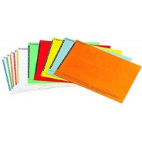 Esselte etiquettes pour Dossier Suspendu Lateral, Lot de 10 planches de 25, Couleurs Assorties, Orgarex, 326400