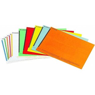 Esselte etiquettes pour Dossier Suspendu Lateral, Lot de 10 planches de 25, Couleurs Assorties, Orgarex, 326400