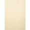 Exacompta 2780C Paquet de 100 couvertures Grain cuir pour reliure A4 Ivoire
