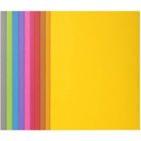 Exacompta - Ref. 210001E - Paquet de 100 chemises rigides ROCK''S 210 g/m2 aux couleurs vives - chemises certifiees PEFC - dimen