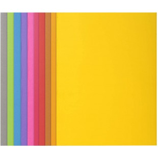 Exacompta - Ref. 210001E - Paquet de 100 chemises rigides ROCK''S 210 g/m2 aux couleurs vives - chemises certifiees PEFC - dimen