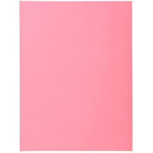 Exacompta - Ref. 330003E - Paquet 100 chemises rigides SUPER 210 g/m2 aux couleurs pastel - chemises certifiees PEFC - dimension